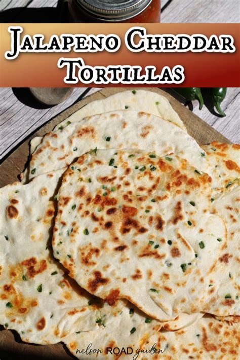 How many protein are in jalapeno cheddar tortilla - calories, carbs, nutrition