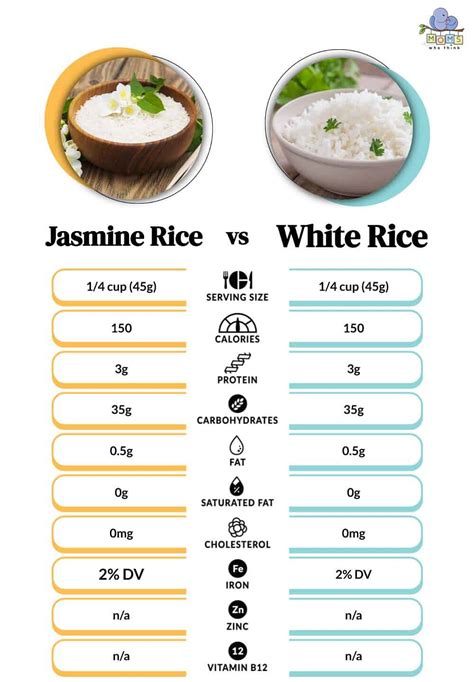 How many protein are in jasmine rice - calories, carbs, nutrition