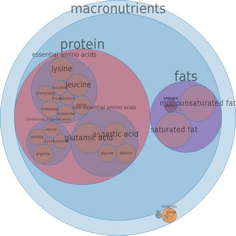 How many protein are in lamb, domestic, foreshank, separable lean and fat, trimmed to 1/4