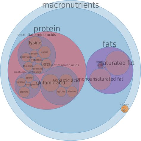 How many protein are in lamb, new zealand, imported, testes, cooked, soaked and fried - calories, carbs, nutrition