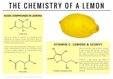 How many protein are in lemon - calories, carbs, nutrition