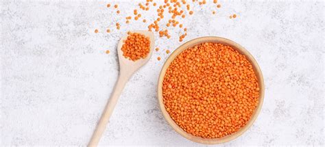 How many protein are in lentil chips - calories, carbs, nutrition