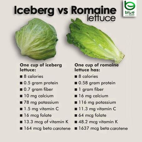How many protein are in lettuce iceberg romaine & spring mix 1 oz - calories, carbs, nutrition