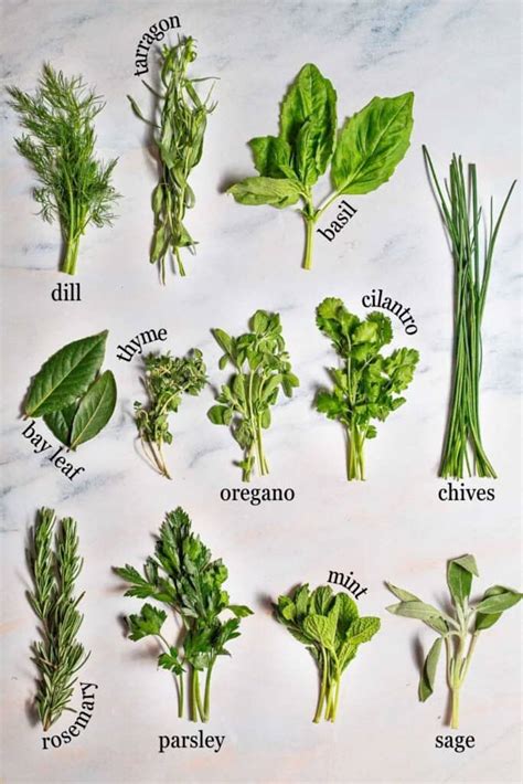 How many protein are in mediterranean butter with fresh herbs - calories, carbs, nutrition