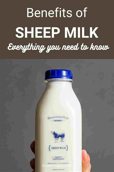 How many protein are in milk, sheep, fluid - calories, carbs, nutrition