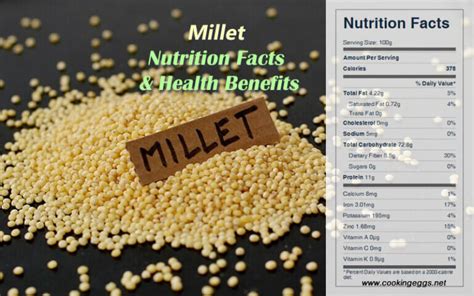 How many protein are in millet & flax cinnamon chips - calories, carbs, nutrition