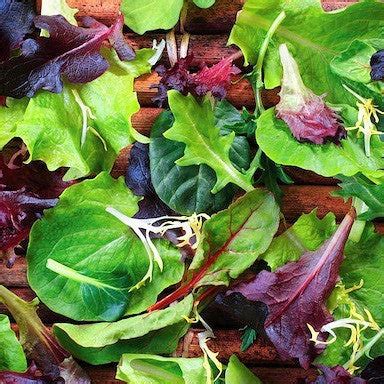 How many protein are in mixed greens with mesclun - calories, carbs, nutrition