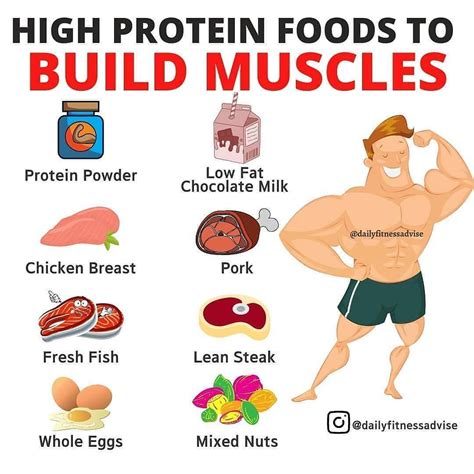 How many protein are in muscle builder - calories, carbs, nutrition