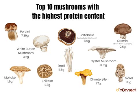 How many protein are in mushroom a la king - calories, carbs, nutrition