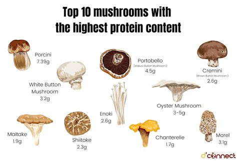 How many protein are in mushroom button roasted halved 1 oz - calories, carbs, nutrition