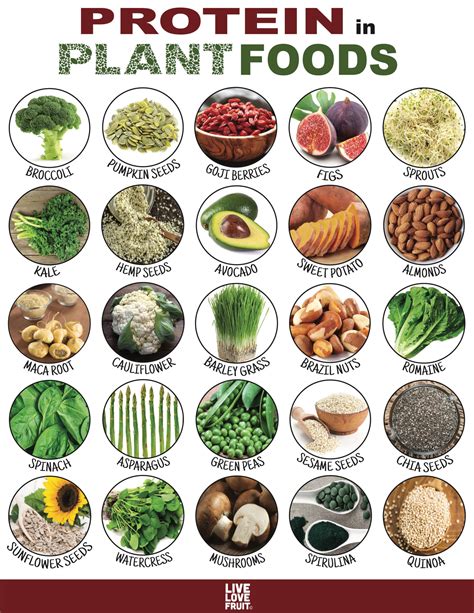 How many protein are in napa valley garden vegetables - calories, carbs, nutrition