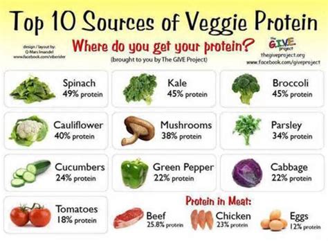 How many protein are in natural vegetable sticks - calories, carbs, nutrition