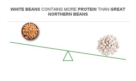 How many protein are in northern white beans with artichokes, northern beans - calories, carbs, nutrition