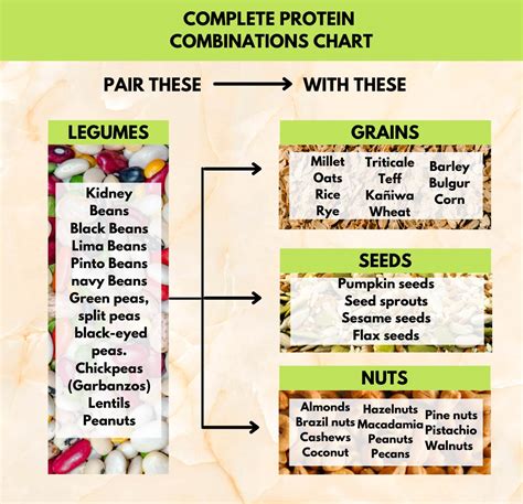 How many protein are in noshi vegetable and rice box - calories, carbs, nutrition