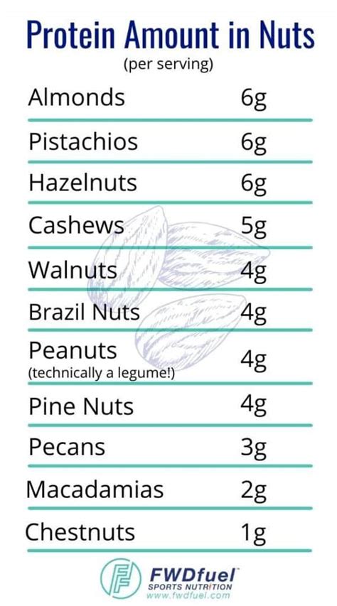How many protein are in nut melody - calories, carbs, nutrition