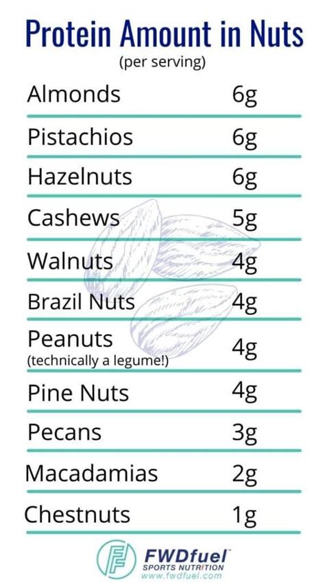 How many protein are in nut melody - calories, carbs, nutrition