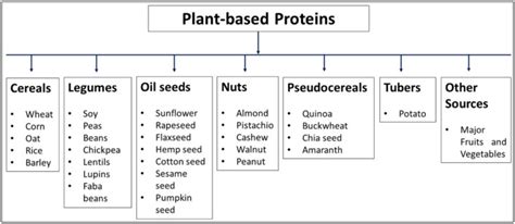 How many protein are in nutrition sustaining energy - calories, carbs, nutrition