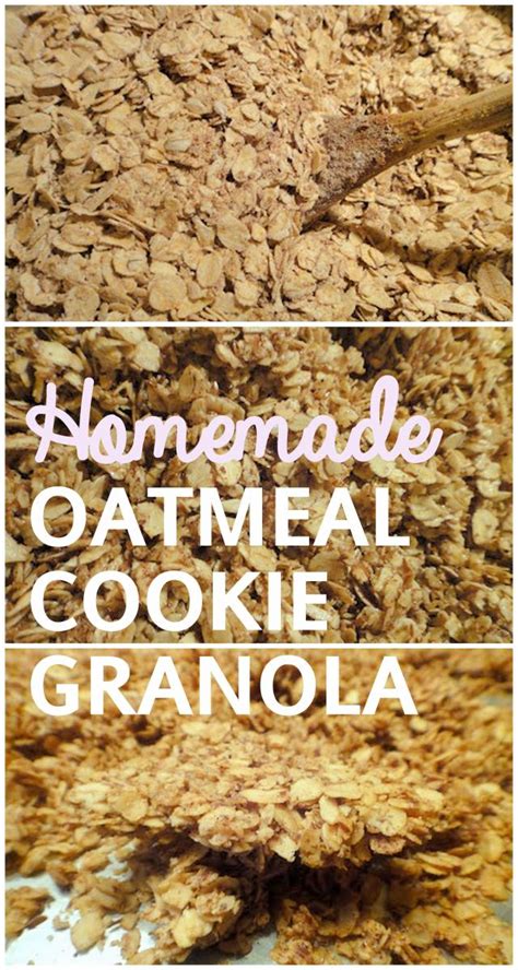 How many protein are in oatmeal cookies granola - calories, carbs, nutrition