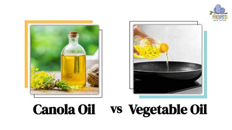 How many protein are in oil canola 2 tsp - calories, carbs, nutrition