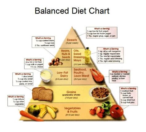 How many protein are in oil only - calories, carbs, nutrition