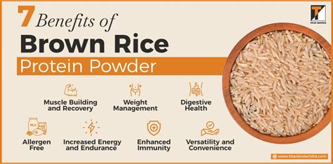 How many protein are in organic brown rice - calories, carbs, nutrition