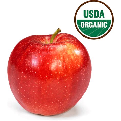 How many protein are in organic gala apple - calories, carbs, nutrition