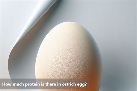 How many protein are in ostrich stick - calories, carbs, nutrition