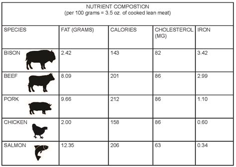 How many protein are in panini italian (bison) - calories, carbs, nutrition