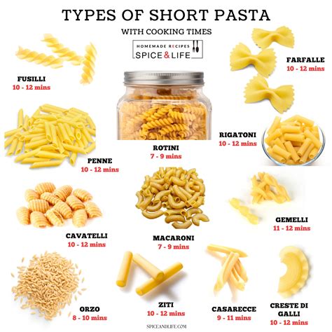 How many protein are in pasta macaroni cooked basic method 8 oz spoodle - calories, carbs, nutrition