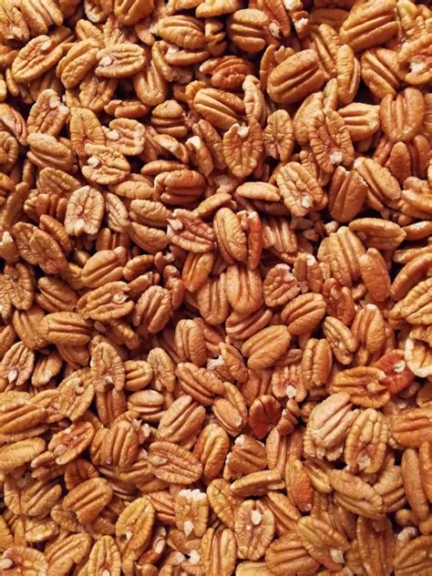 How many protein are in pecan halves - calories, carbs, nutrition