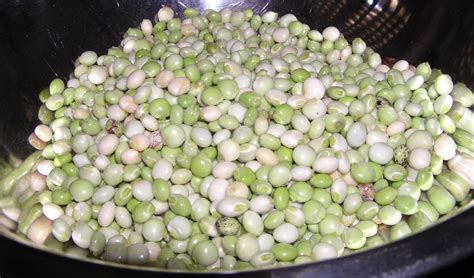 How many protein are in pigeon peas and ham casserole (71176.0) - calories, carbs, nutrition