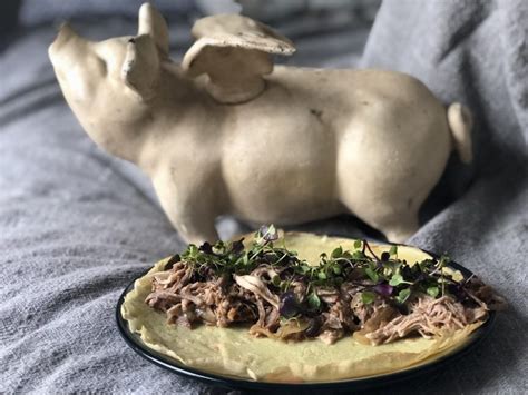 How many protein are in pork butt carnitas cider vinegar 2 oz - calories, carbs, nutrition