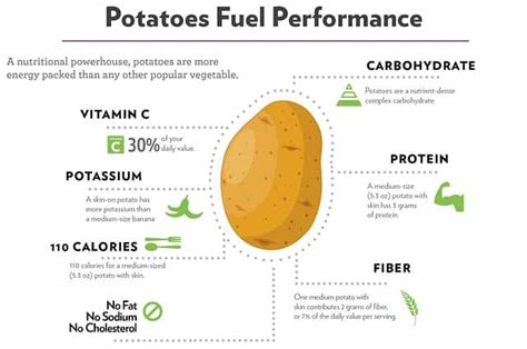 How many protein are in potato buds - calories, carbs, nutrition