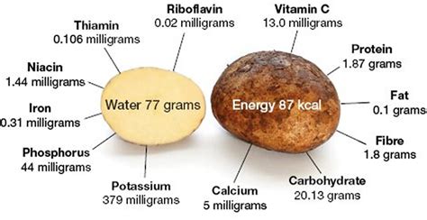 How many protein are in potato skin - calories, carbs, nutrition