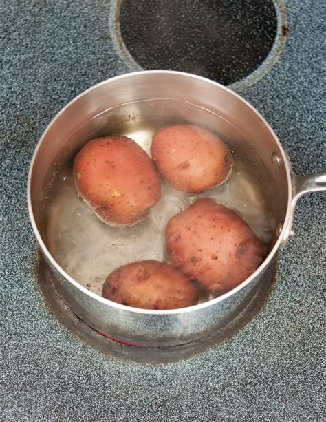 How many protein are in potatoes, boiled, cooked in skin, skin, with salt - calories, carbs, nutrition