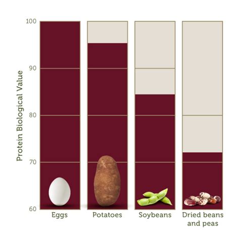 How many protein are in potatoes purple simply smashed 1/2 cup - calories, carbs, nutrition