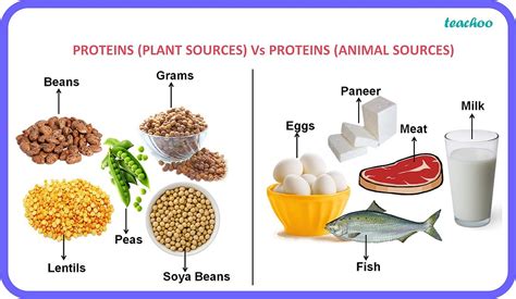 How many protein are in real simple - calories, carbs, nutrition