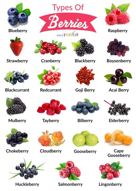 How many protein are in red berry - calories, carbs, nutrition