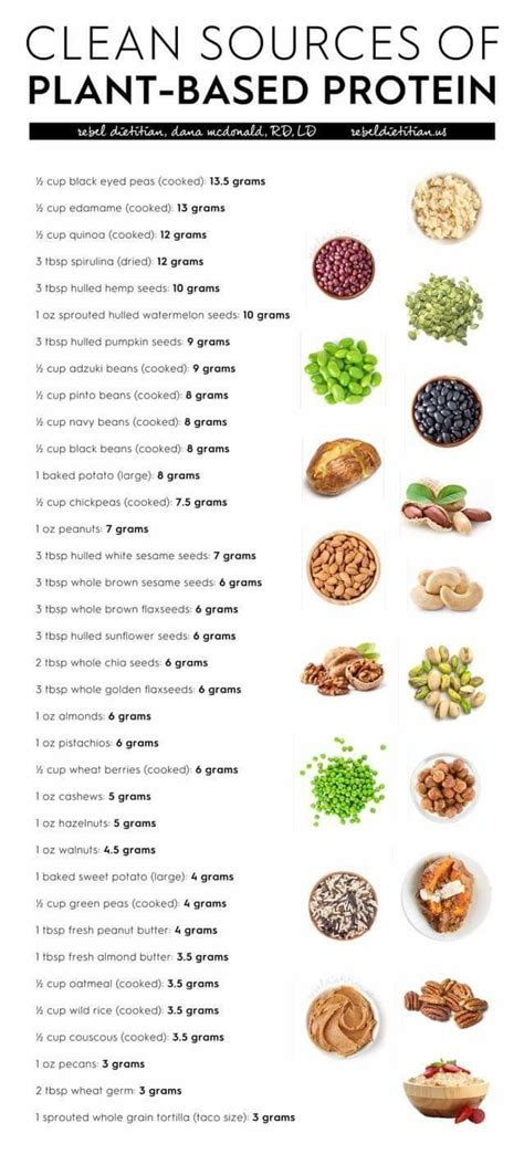 How many protein are in risotto base - vegetarian (81148.0) - calories, carbs, nutrition