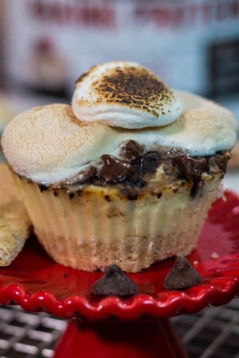 How many protein are in s'mores cupcake - calories, carbs, nutrition