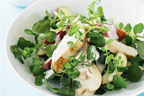 How many protein are in salad entree chicken watercress & nectarine - calories, carbs, nutrition