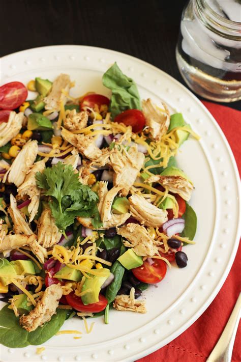 How many protein are in sante fe chicken and black bean 16 oz - calories, carbs, nutrition