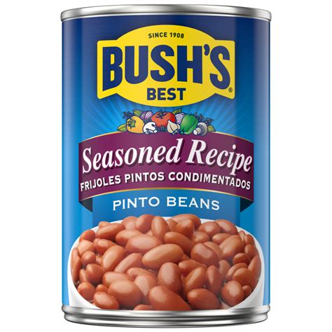 How many protein are in seasoned pinto beans (41618.1) - calories, carbs, nutrition