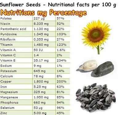 How many protein are in seeds sunflower - calories, carbs, nutrition