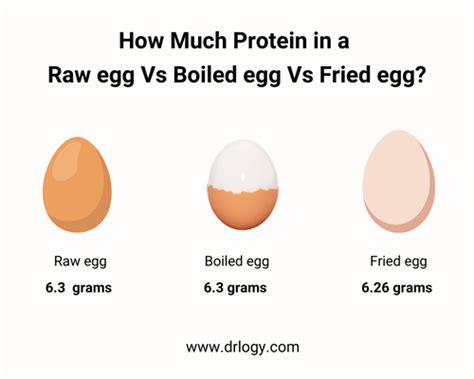 How many protein are in service special fried egg - calories, carbs, nutrition