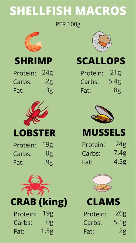 How many protein are in shells & cheese - salsa - calories, carbs, nutrition