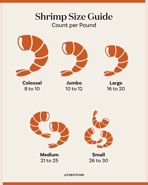 How many protein are in shrimp 21/25 p&d t/on grilled 3 ea - calories, carbs, nutrition