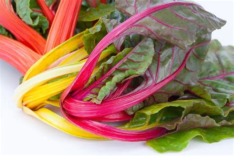 How many protein are in simply sauteed rainbow swiss chard - calories, carbs, nutrition