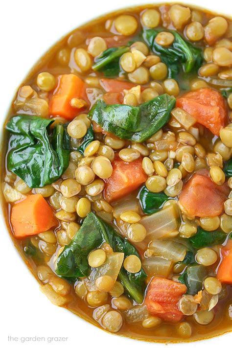 How many protein are in soup lentil spinach vegetarian 12 oz - calories, carbs, nutrition