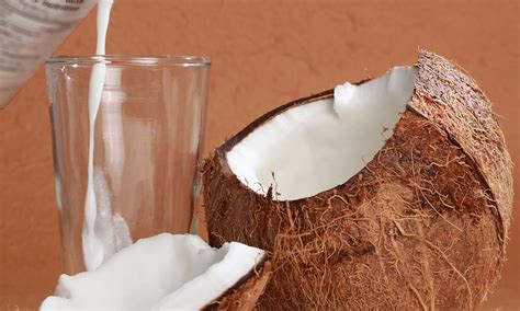 How many protein are in south east asian coconut zucchini - calories, carbs, nutrition